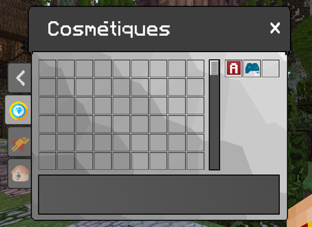 Affichage des Cosmétiques sur nationglory avec le pack